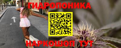 a pvp Будённовск