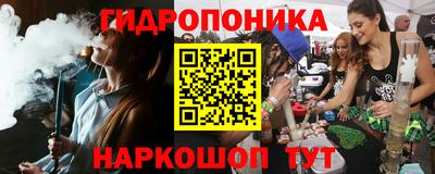 a pvp Будённовск